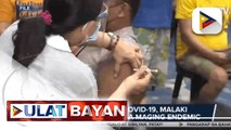 Dr. Salvaña: COVID-19, malaki ang posibilidad na maging endemic