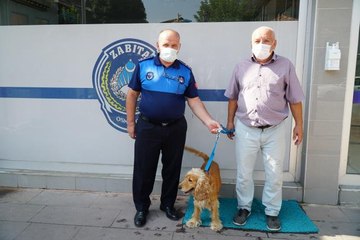 Kaybolan köpeğin sahibine belediyenin sosyal medya paylaşımıyla ulaşıldı