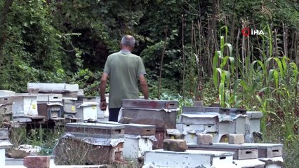Arnavutköy’de kovanları devirip ekipmanları çalan hırsızlar fotokapana yakalandı