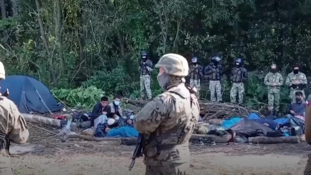 У пастцы на мяжы. Як мігранты апынуліся паміж Польшчай і Беларуссю