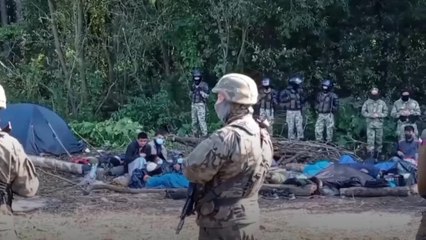 У пастцы на мяжы. Як мігранты апынуліся паміж Польшчай і Беларуссю