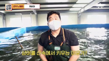 '국내산' 캐비아로 연 매출 30억! 지리산에 사는 철갑상어?! (feat. 캐비아가 비싼 이유)