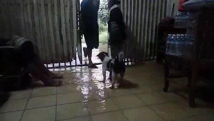 น้ำท่วม