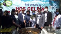 Bağcılar’da bağ bozumu