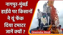 Nashik में नाराज किसानों ने सैकड़ों क्विंटल टमाटर सड़क पर फेंके, जानें क्यों? | वनइंडिया हिंदी