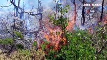Doğa harikası Nemrut Krater Gölü çevresinde korkutan yangın