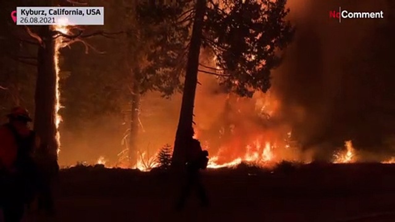 Hitze und drehende Winde: Waldbrände bedrohen Urlaubsregion Lake Tahoe