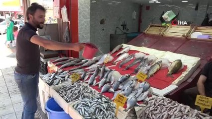 Balıkçıların umudu hamsi tezgahlardaki yerini aldı