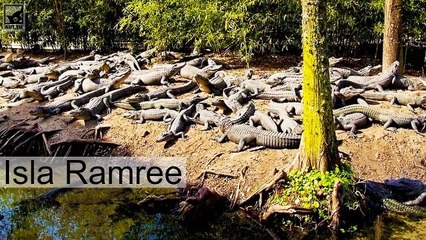 Las islas más peligrosas del mundo