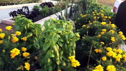 Visite place de la Fonderie (Le Reflet - Vicky Girard)