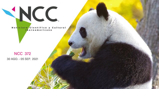 Noticiero Científico y Cultural Iberoamericano, emisión 372. 30 de agosto al 05 de septiembre del 2021