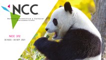 Noticiero Científico y Cultural Iberoamericano, emisión 372. 30 de agosto al 05 de septiembre del 2021