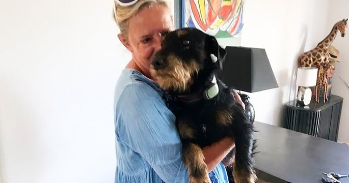 Égaré en Savoie, leur chien de 2 ans parcourt 380 kilomètres pour rentrer chez eux dans le Gard