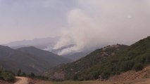 Son dakika haberleri! Tunceli kırsalındaki örtü yangınını söndürme çalışmaları devam ediyor