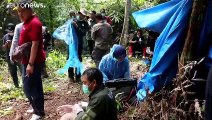 العثور على  ثلاثة نمور سومطرة المهددة بالانقراض مقتولة في إندونيسيا