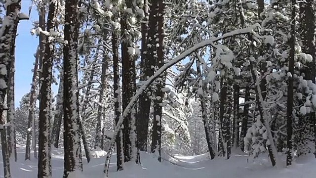 Relaxing Music_ Stress Relief, Soothing Meditation Music, Yoga Music, Relax Your Mind