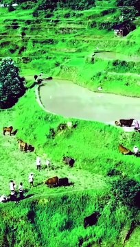 Share link: dai.ly/x83sef6