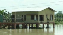 Assam floods: Displaced animals enter nearby villages