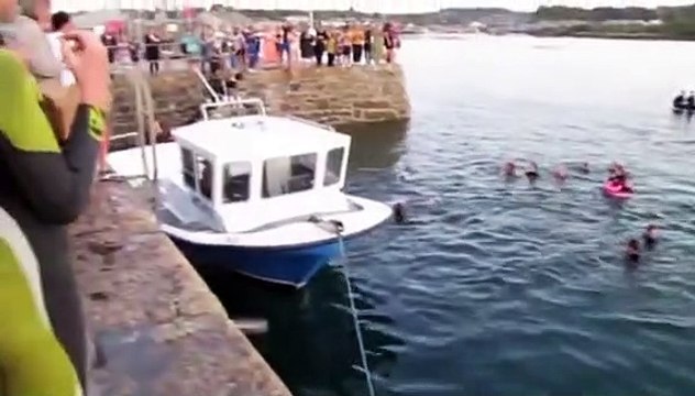 Golfinho interage e diverte banhistas. Especialistas alertam para riscos