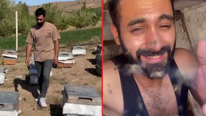 "Arılara fısıldayan adam" olarak anılan 24 yaşındaki genç, korucuyu kıyafet olmadan kovanların arasına daldı
