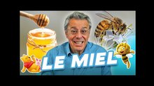 LE MIEL & LES ALTERNATIVES AU SUCRE (sucre de coco, sirop d'érable, d'agave, xylitol...)