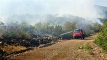 Son dakika haberi | Bingöl'deki yangına havadan ve karadan müdahale sürüyor