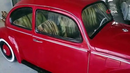 Bu akvaryum Türkiye'de tek