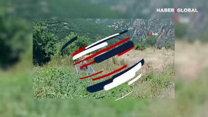 Yavru ayının suyla oyunu kamerada