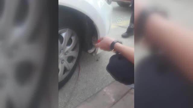 Son dakika haberleri: KIRIKKALE - Otomobilin tamponuna giren kedi yavrusunu itfaiye ekipleri kurtardı