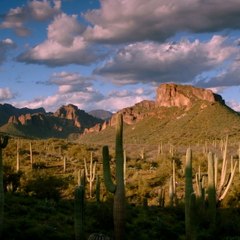 Thrillist Explorers: Phoenix Nomad Edition