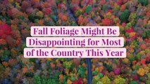 Fall Foliage Might Be Disappointing for Most of the Country This Year