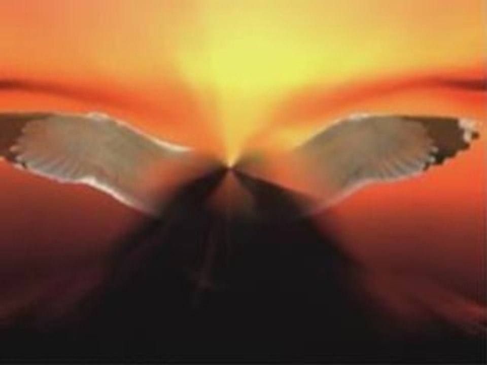 le vol d'un  Ange