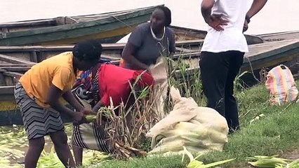 Le "grenier" du Nigeria frappé de plein fouet par l'insécurité