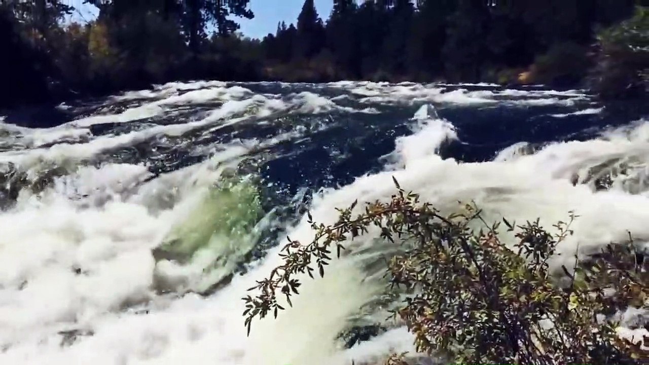 meditation music relax mind body__ relaxing video for stress relief__ nature sounds relaxing music