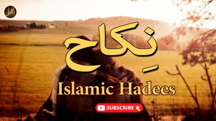 Nikkah | Hadees | Islamic | HD Video