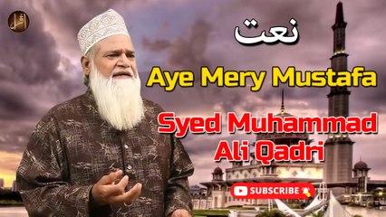 Aye Mery Mustafa | Naat | Prophet Mohammad PBH | Syed Muhammad Ali Qadri | HD