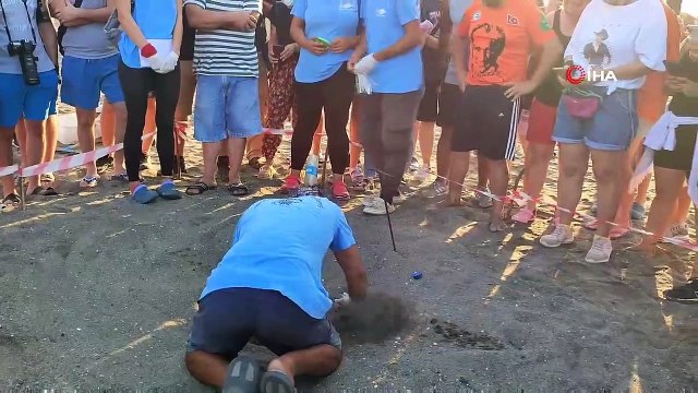 Samandağ sahilindeki yavru deniz kaplumbağalarının deniz yolculuğu sürüyor