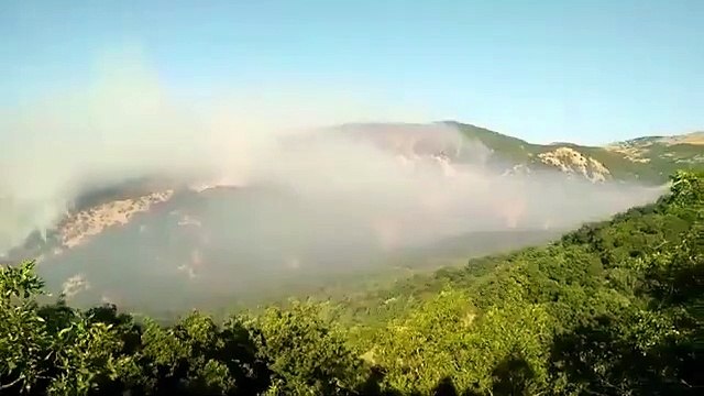 Fatih Mehmet Maçoğlu, Tunceli'deki yangını paylaştı: Buralar ranta açık olmadığı için kimse söndürmeye gelmiyor