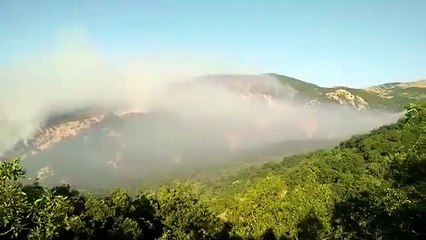 Video herunterladen: Fatih Mehmet Maçoğlu, Tunceli'deki yangını paylaştı: Buralar ranta açık olmadığı için kimse söndürmeye gelmiyor