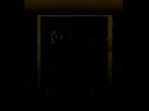 lemonde : Télézapping du 29/02/2008