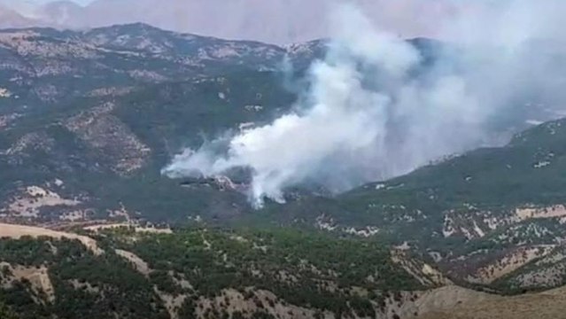 Tunceli’deki orman yangını devam ediyor