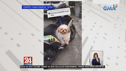 Asong excited sa pandesal at sa paggala, pinusuan ng netizens | 24 Oras Weekend