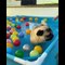 AWW SOO Cute and Funny Pug Puppies - Funniest Pug Ever #19