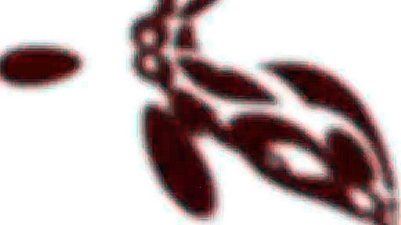 Cuando llevas a un amigo que algo sabe del tema...