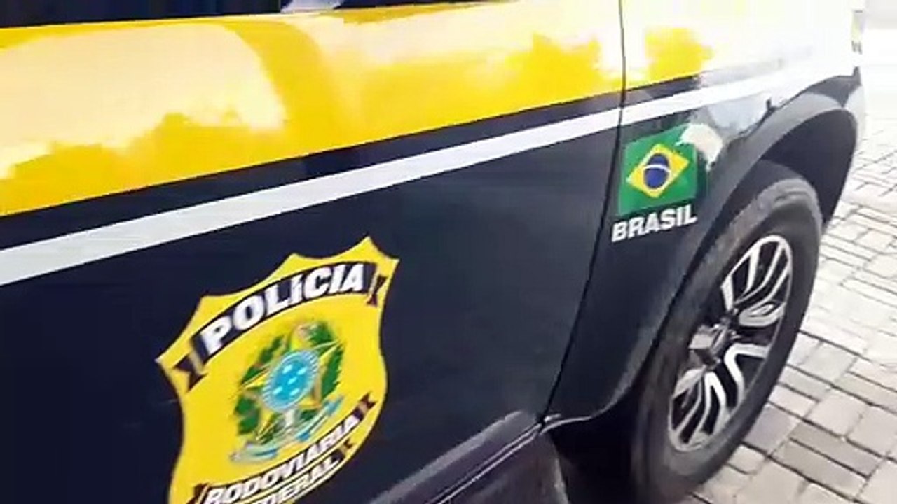 PRF APREENDE MAIS DE MEIA TONELADA DE FRUTOS DO MAR SENDO TRANSPORTADOS SEM REFRIGERAÇÃO