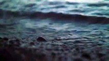 Relaxing Music With Nature Sounds_ Ocean Wave Sounds for Sleeping