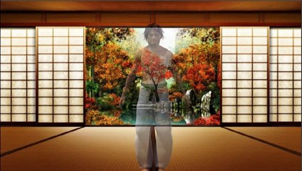 (MAE ASHI) MAE TOBI GERI, PATADA EN SALTO FRONTAL REALIZADA CON LA PIERNA ADELANTADA