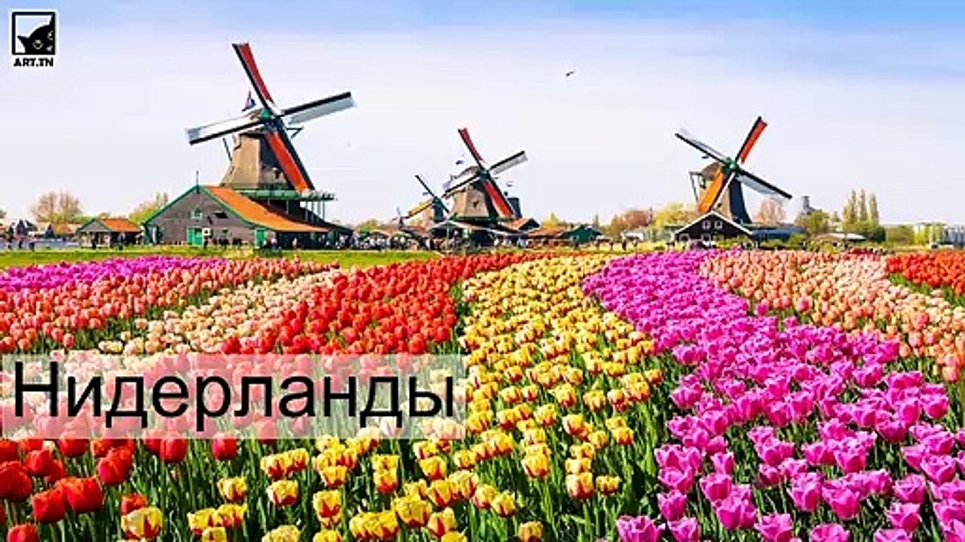 ⁣5 самых счастливых стран мира