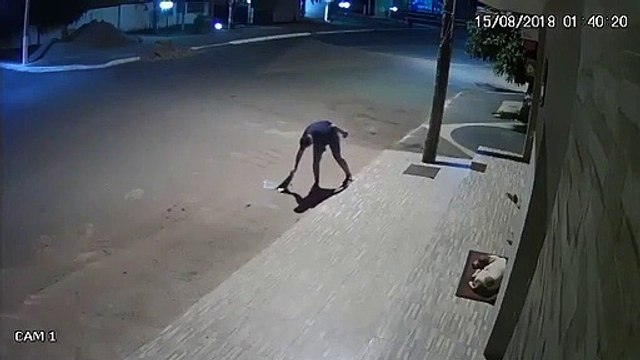 Un piéton couvre un chien qui dort dans la rue... Beau geste