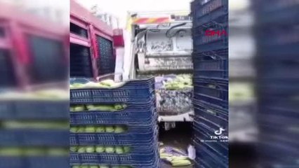 İSTANBUL-KASALARCA SEBZEYİ ÇÖPE ATTI, SORUŞTURMA BAŞLATILDI